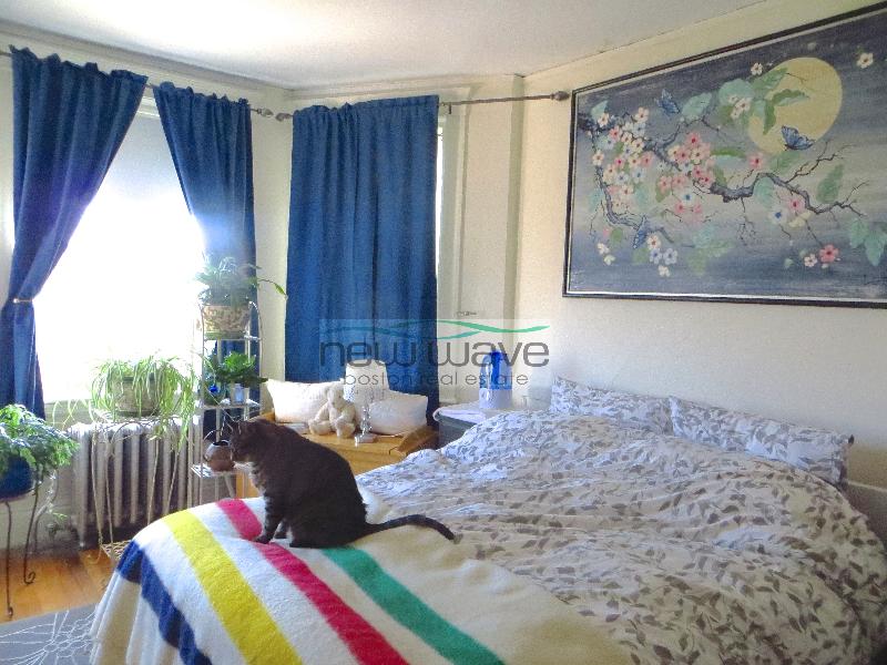 1171 Boylston St, Fenway