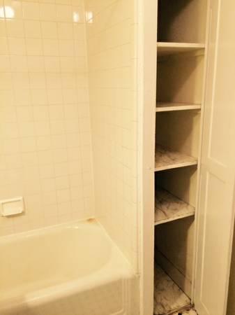 1 bed, 1 bath apartment for rent at 101 Myrtle St Unit A, Beacon Hill — photo 6 of 9