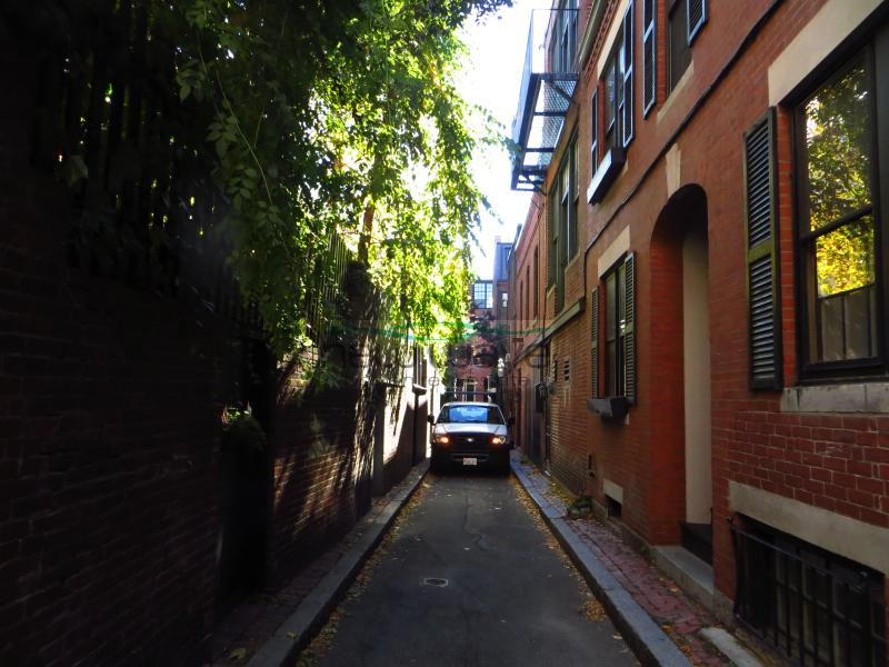 16 Cedar Lane Way, Beacon Hill