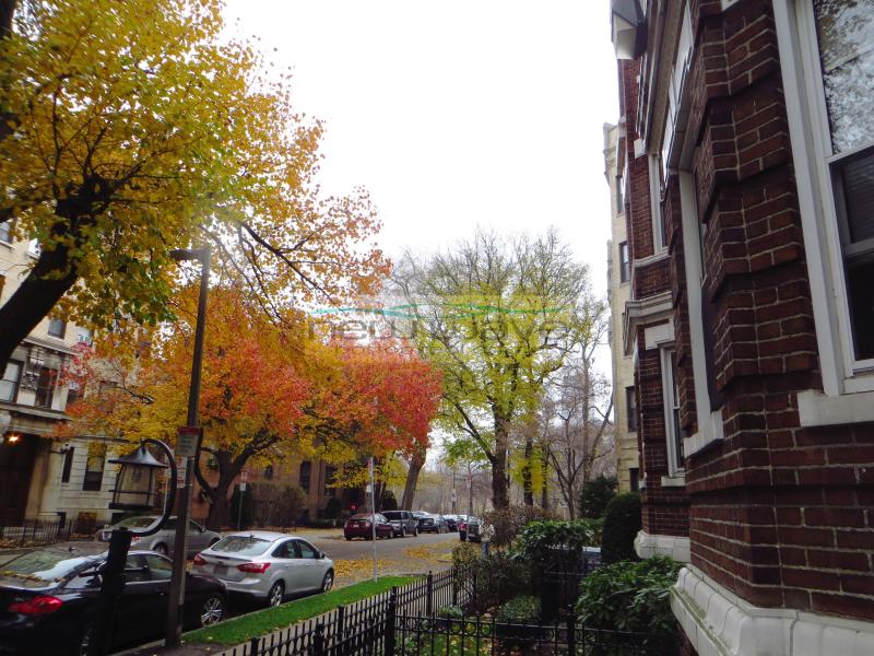 Studio bed, 1 bath apartment for rent at 16 Queensberry St Unit 8, Fenway — photo 11 of 11