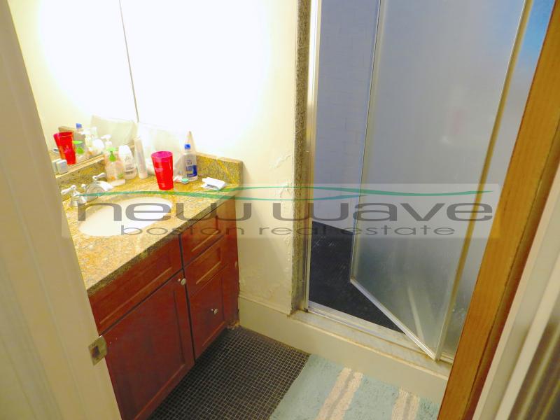 64 Louis Prang St, Fenway