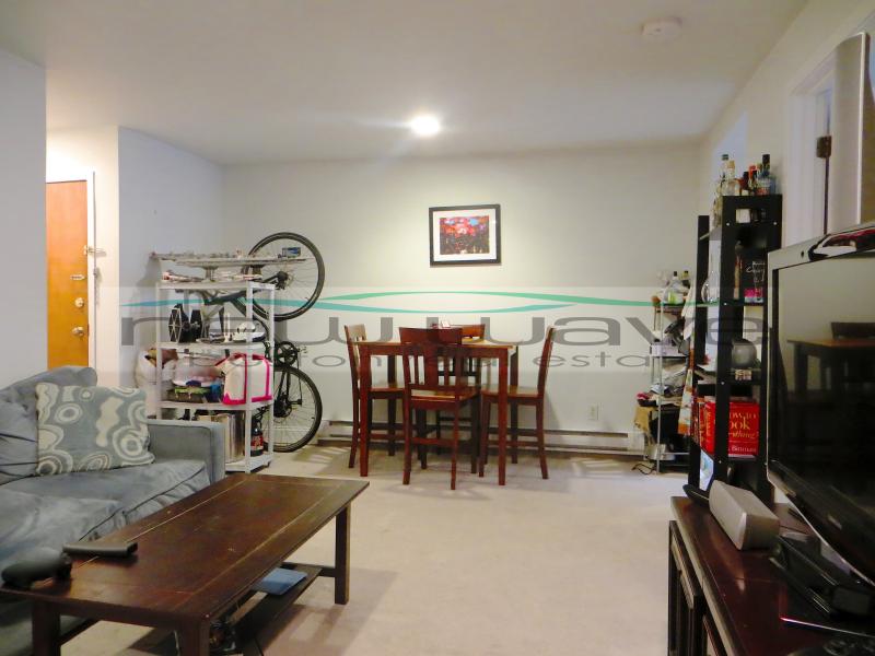 166 Saint Botolph St, Back Bay