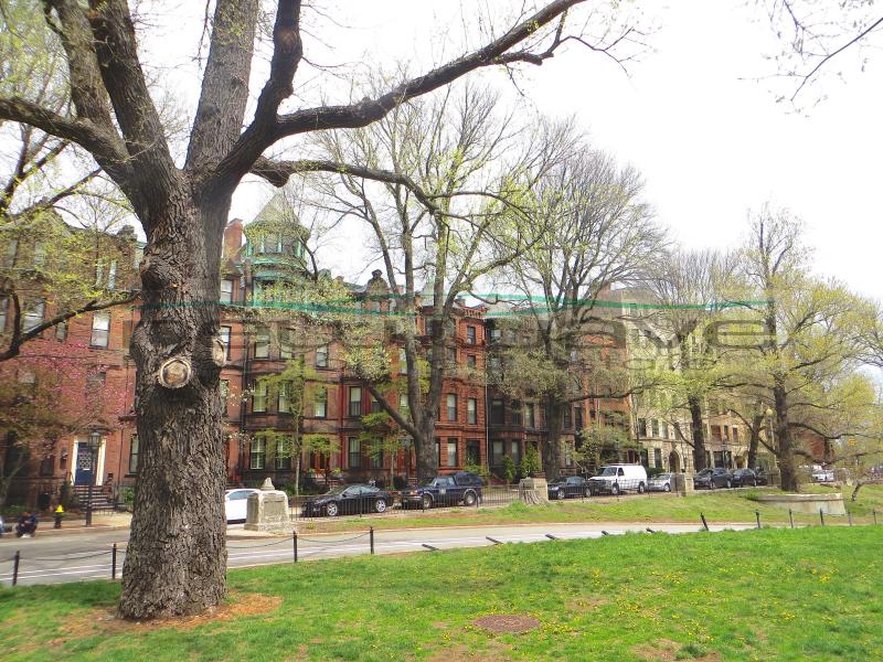 379 Commonwealth Ave, Back Bay