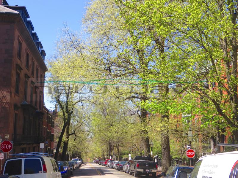 Studio bed, 1 bath apartment for rent at 34 Mount Vernon Unit B, Beacon Hill — photo 15 of 18