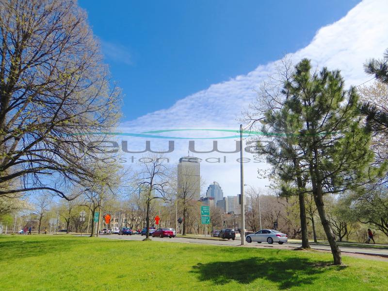 1191 Boylston St, Fenway