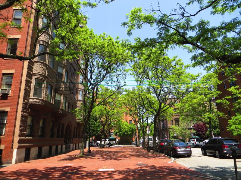 Studio bed, 1 bath apartment for rent at 326 Dartmouth St Unit BR, South End — photo 3 of 25