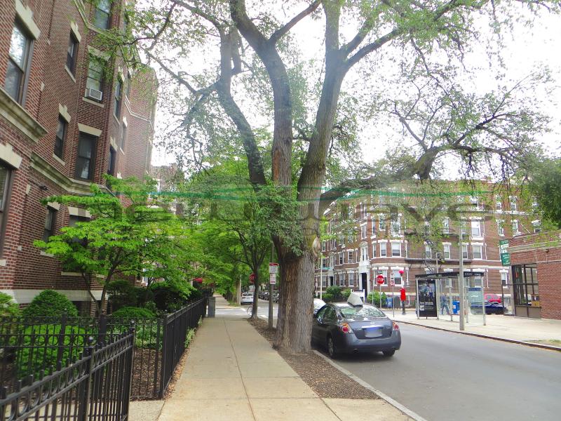 51 Queensberry St, Fenway