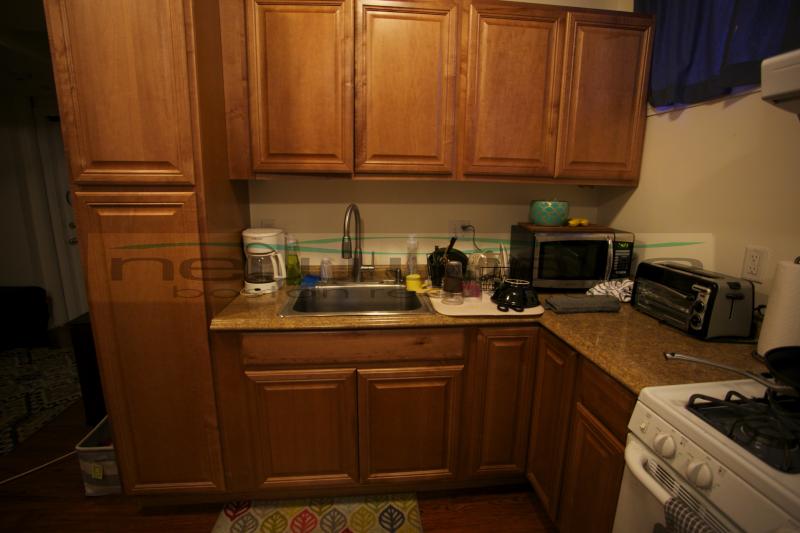 1 bed, 1 bath apartment for rent at 46 West Newton St Unit B, South End — photo 3 of 9