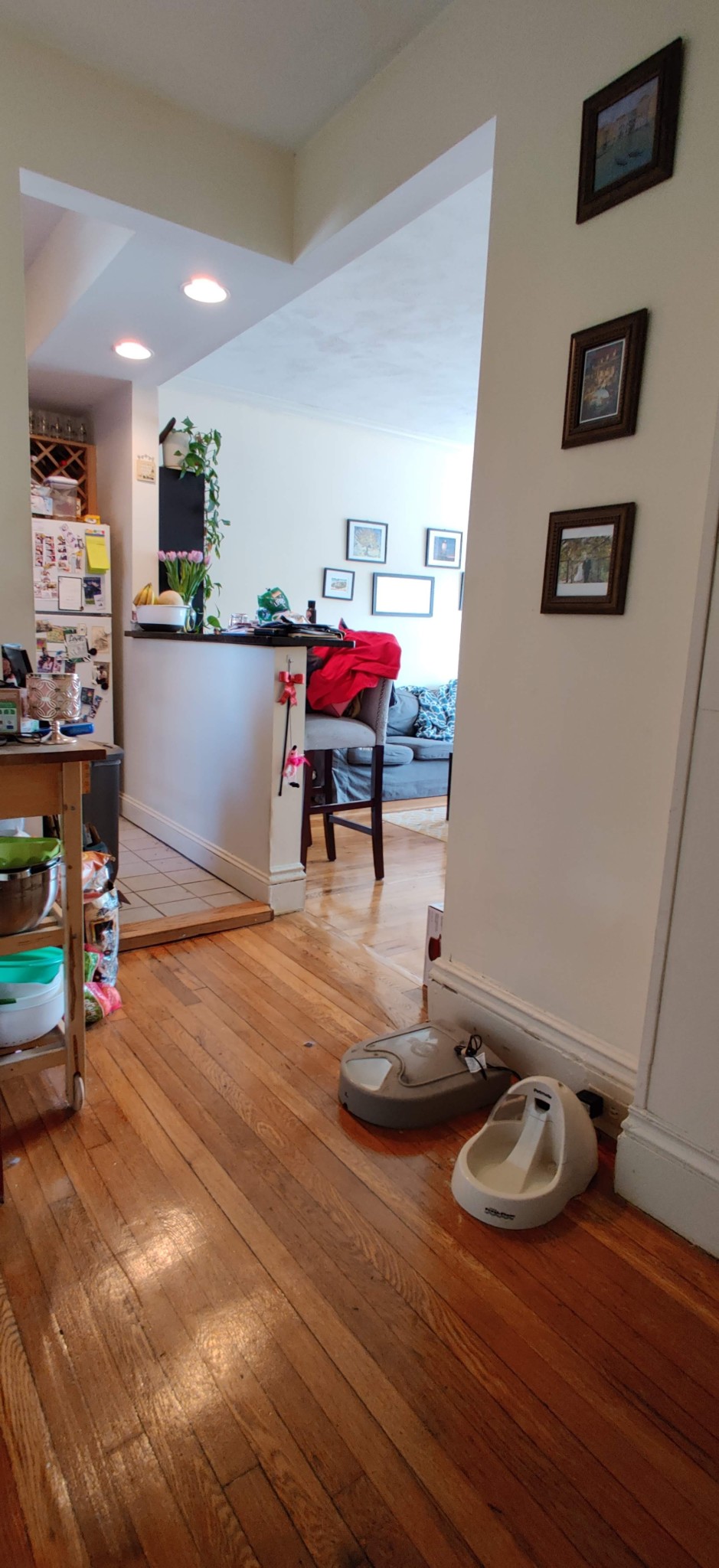 105 Queensberry St, Fenway