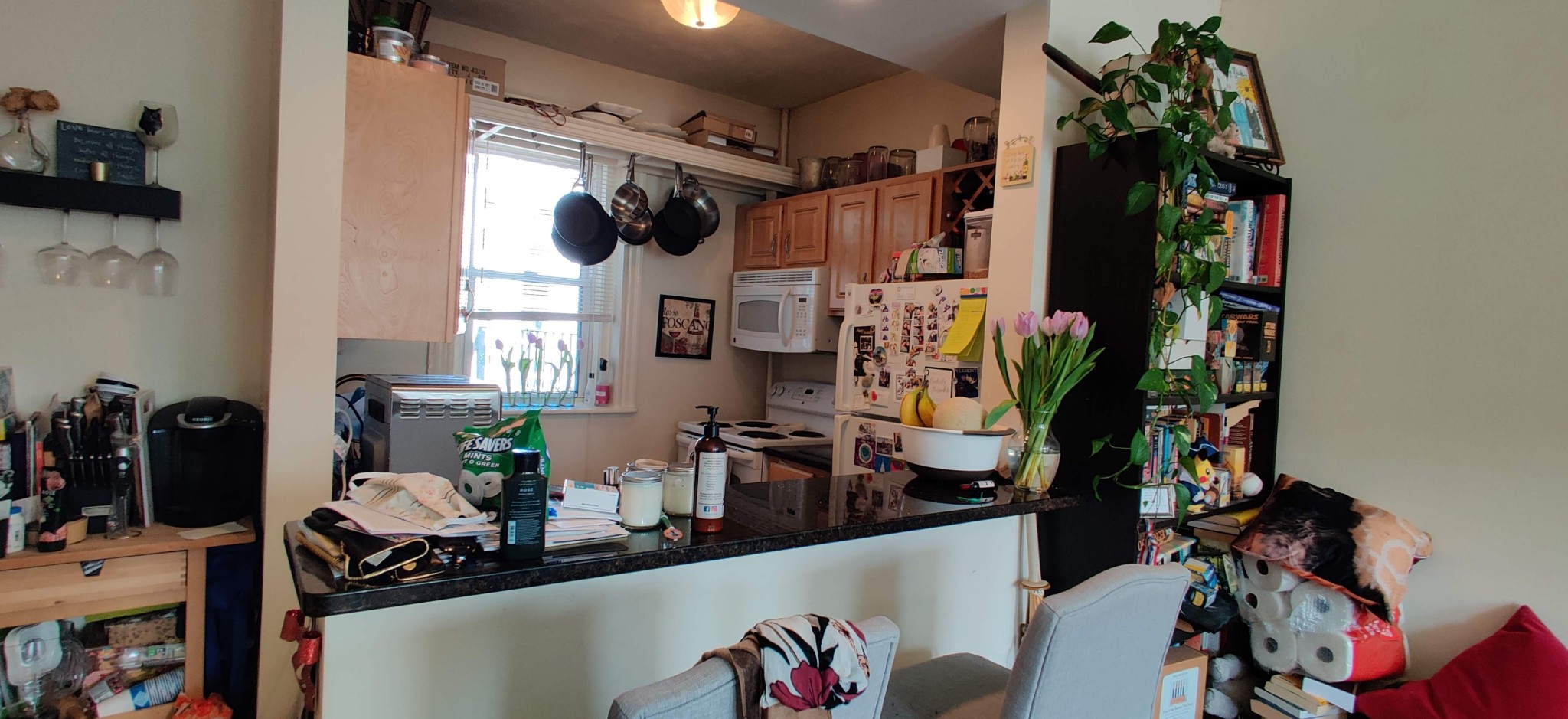 105 Queensberry St, Fenway