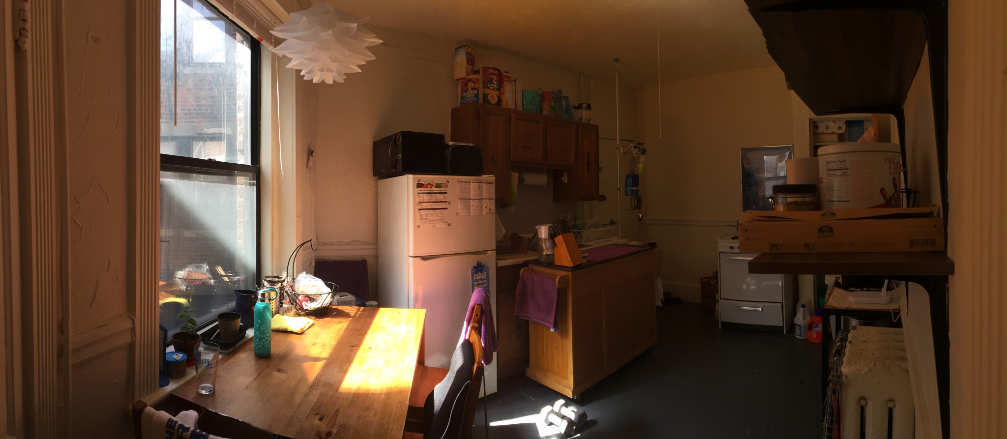 9 Myrtle St, Beacon Hill