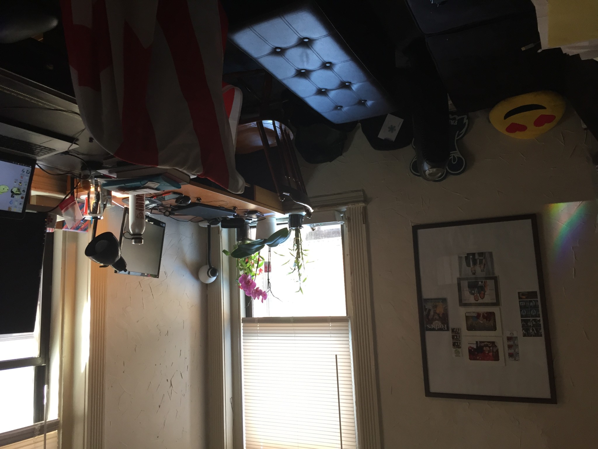 9 Myrtle St, Beacon Hill