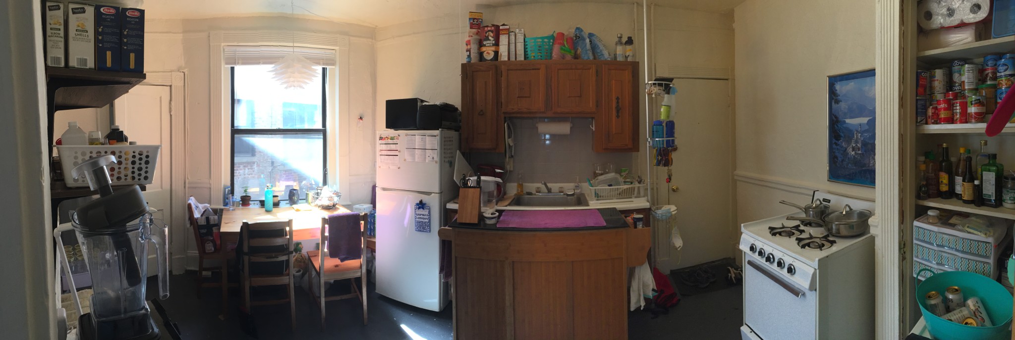 9 Myrtle St, Beacon Hill