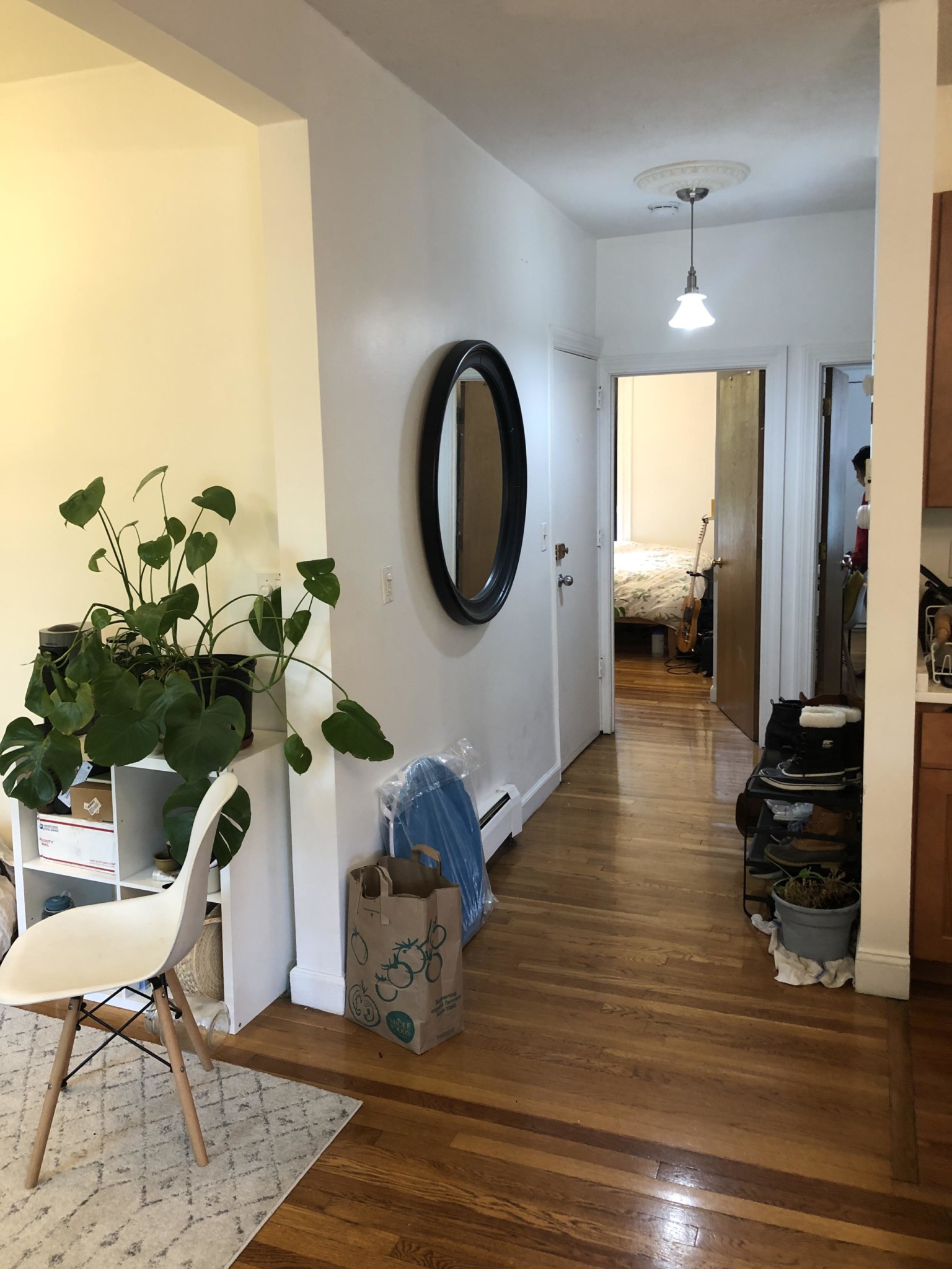 41 Springfield St, South End