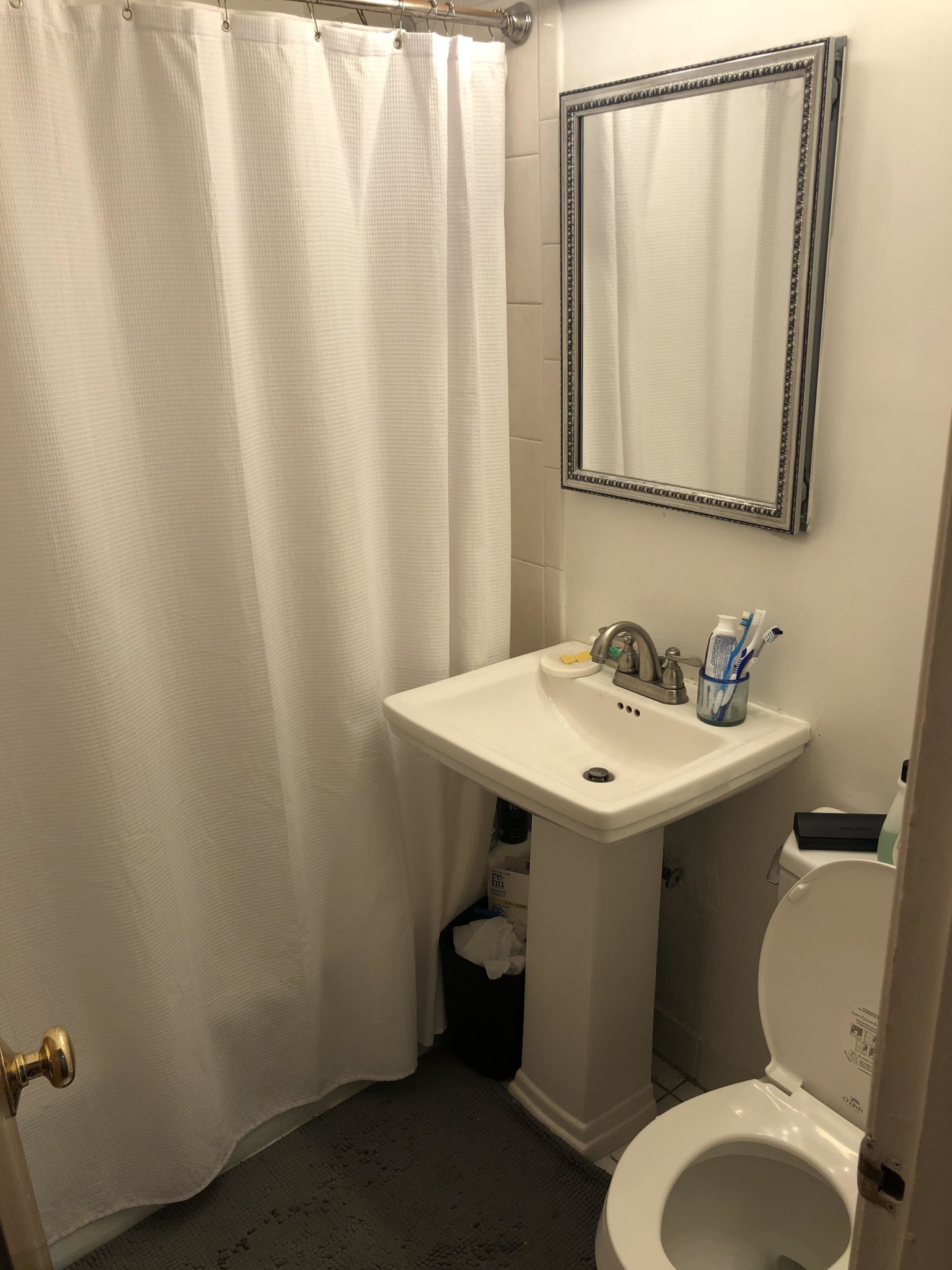 41 Springfield St, South End