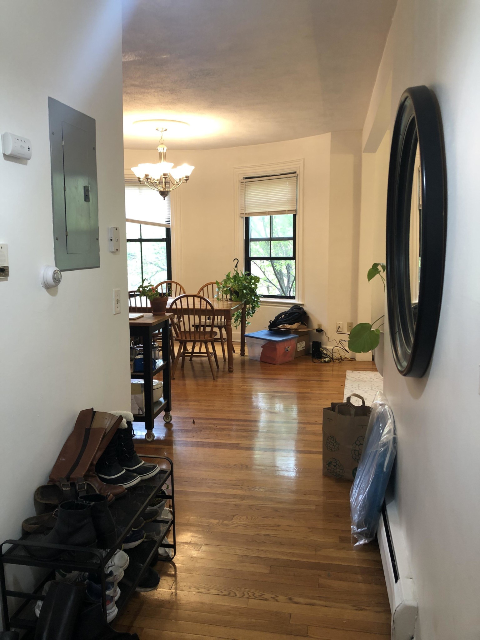 41 Springfield St, South End