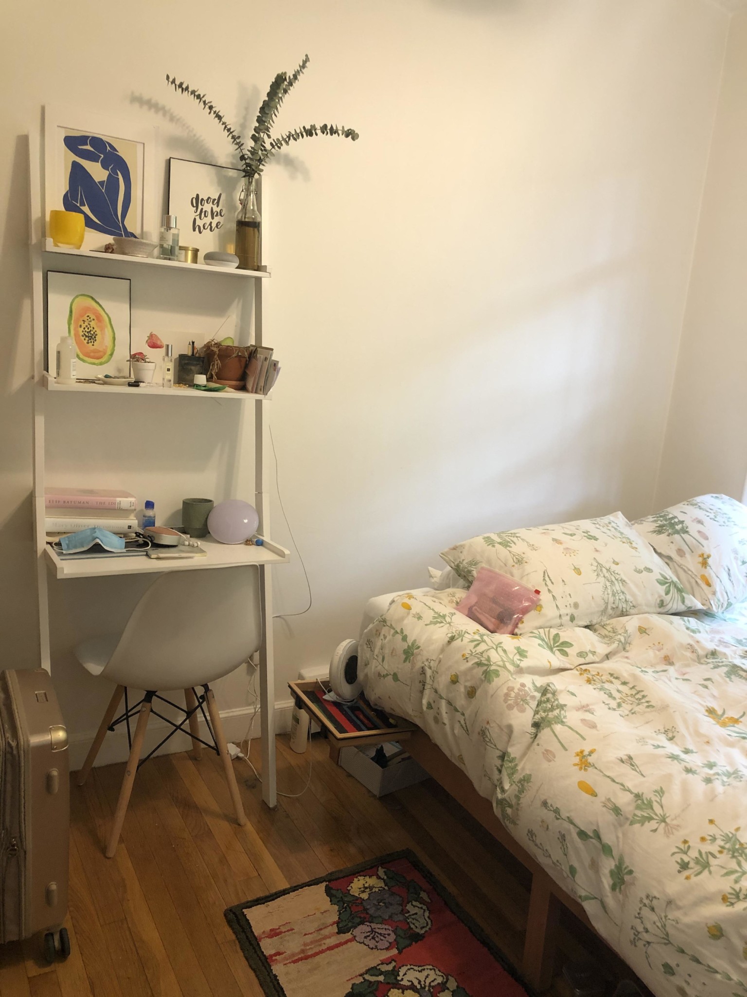 41 Springfield St, South End