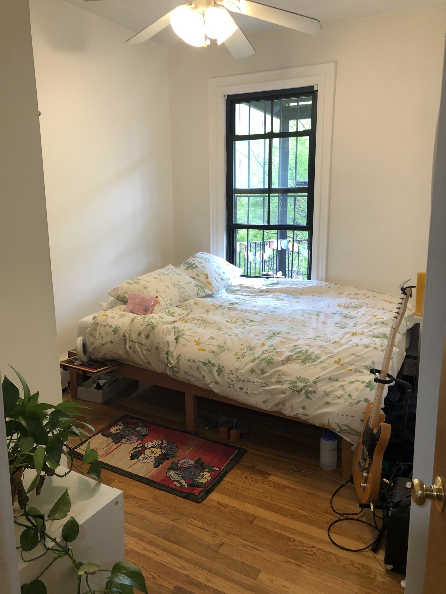 41 Springfield St, South End