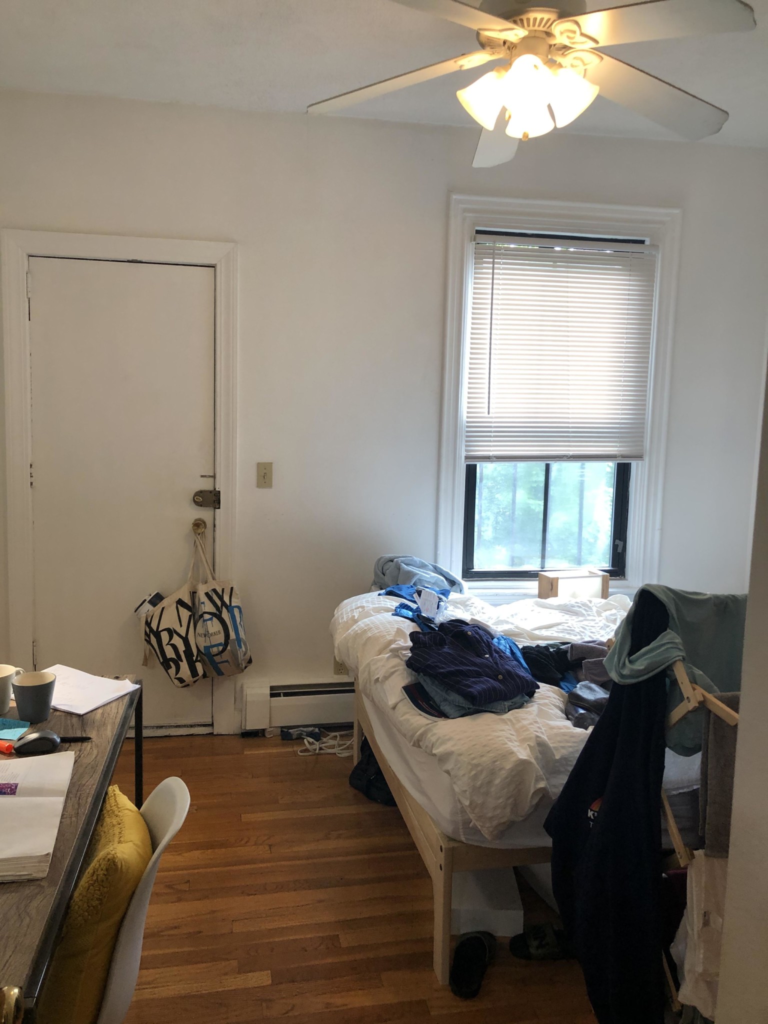 41 Springfield St, South End