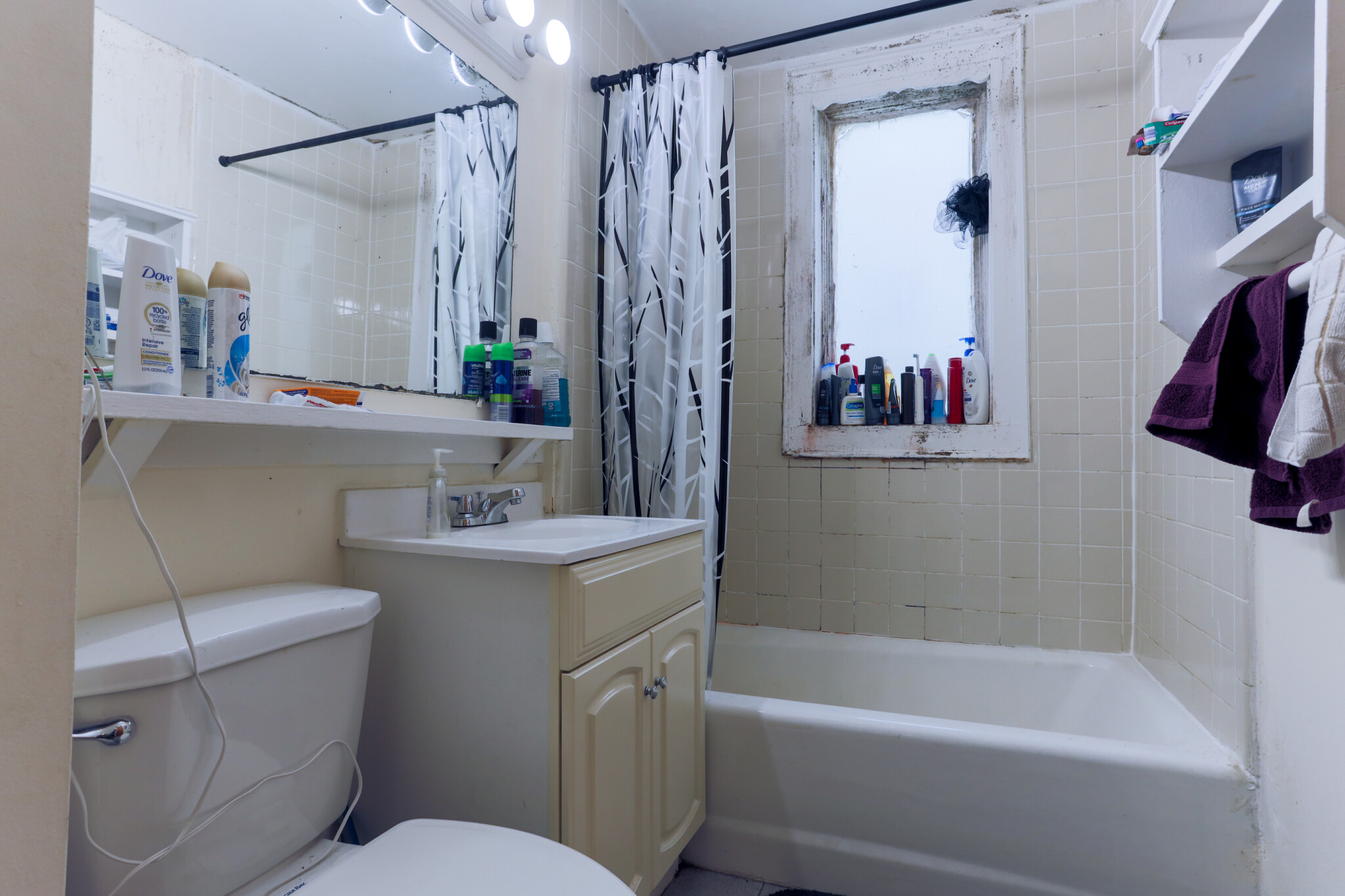 26 Darling St, Mission Hill