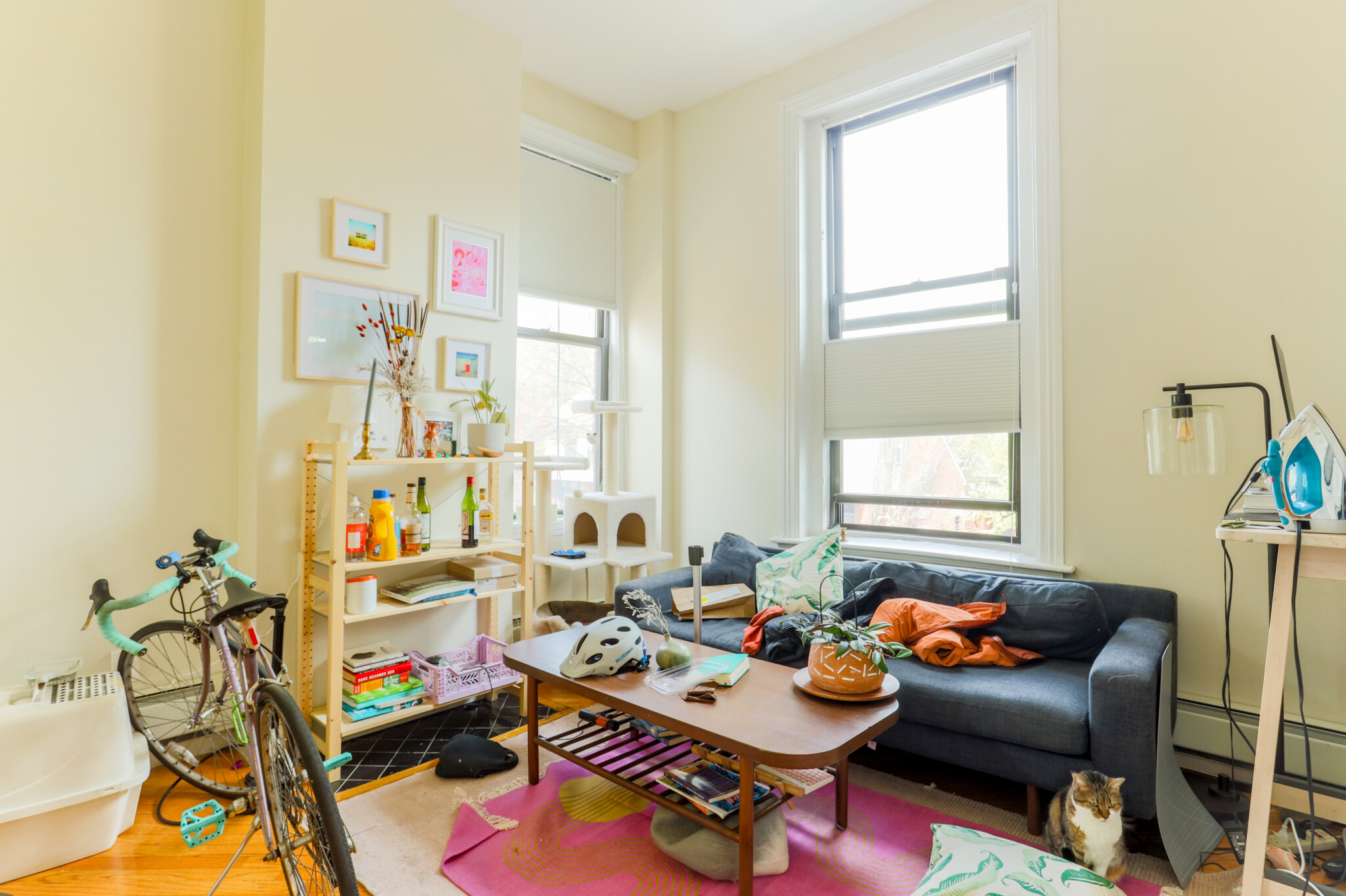 445 Shawmut Ave, South End