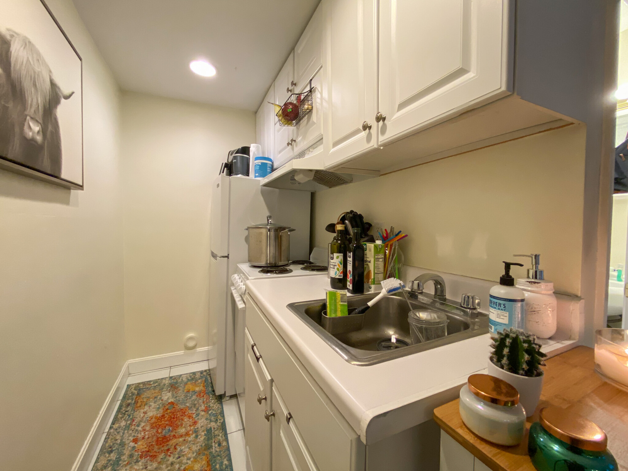 32 Irving St, Beacon Hill