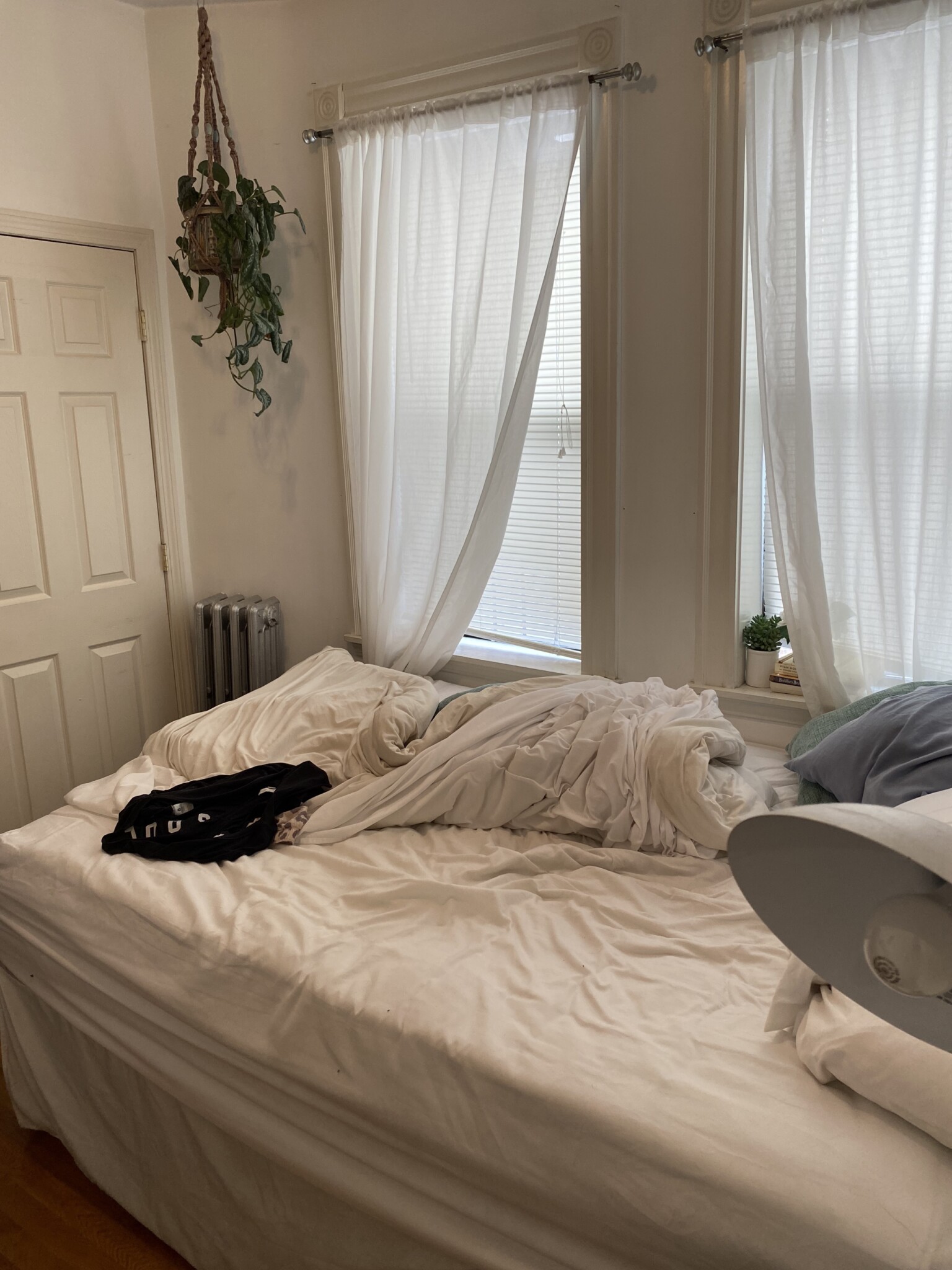 24 Phillips St, Beacon Hill