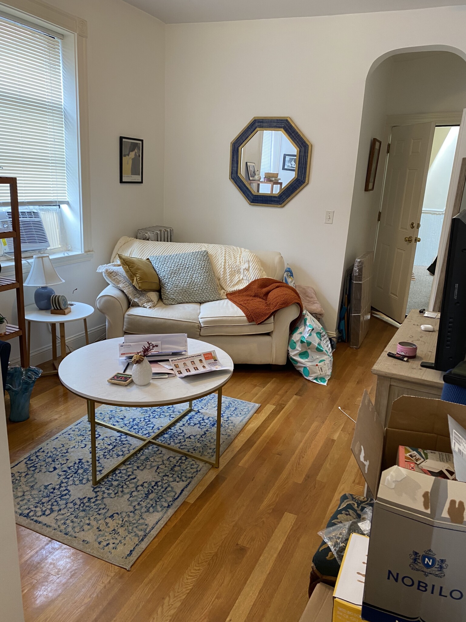 24 Phillips St, Beacon Hill