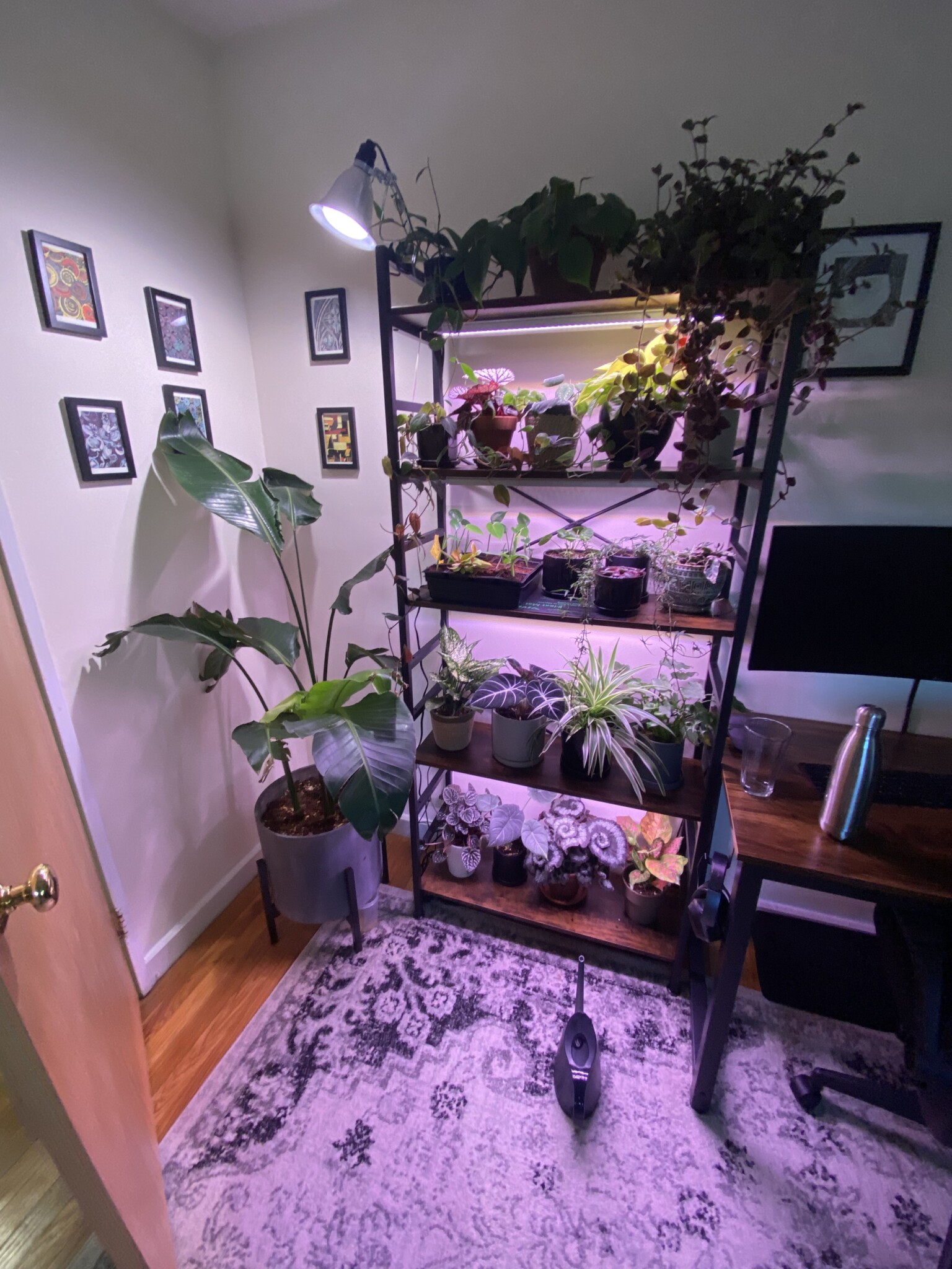 55 Parkman St, Coolidge Corner