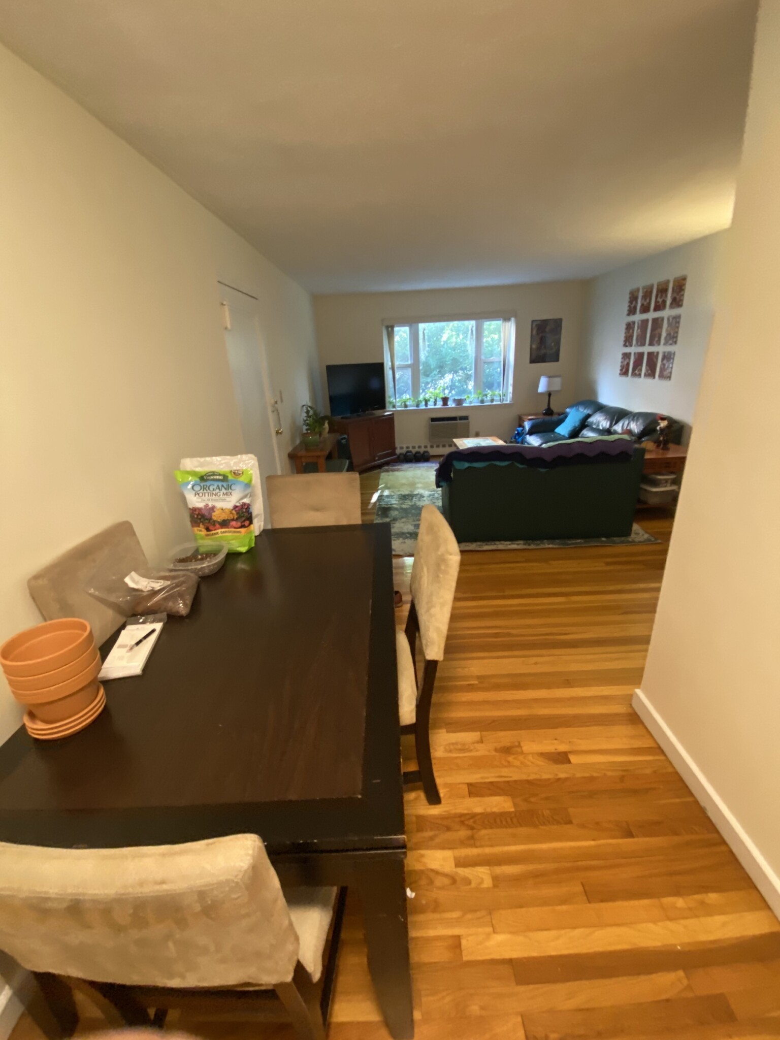 55 Parkman St, Coolidge Corner