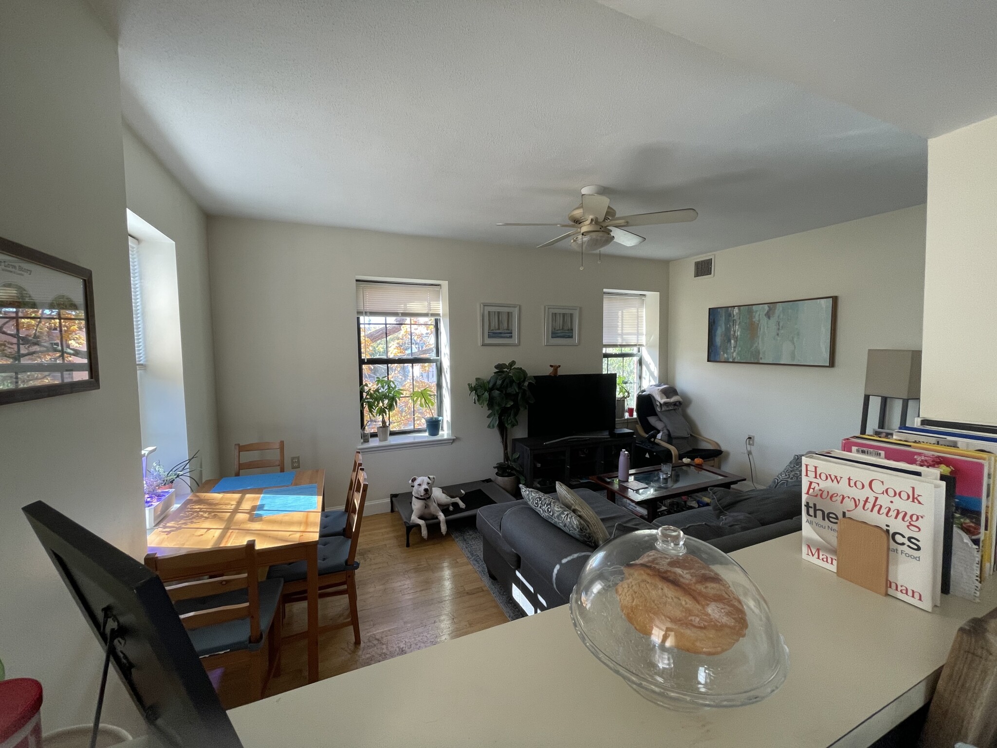 14 John Eliot Sq, Roxbury