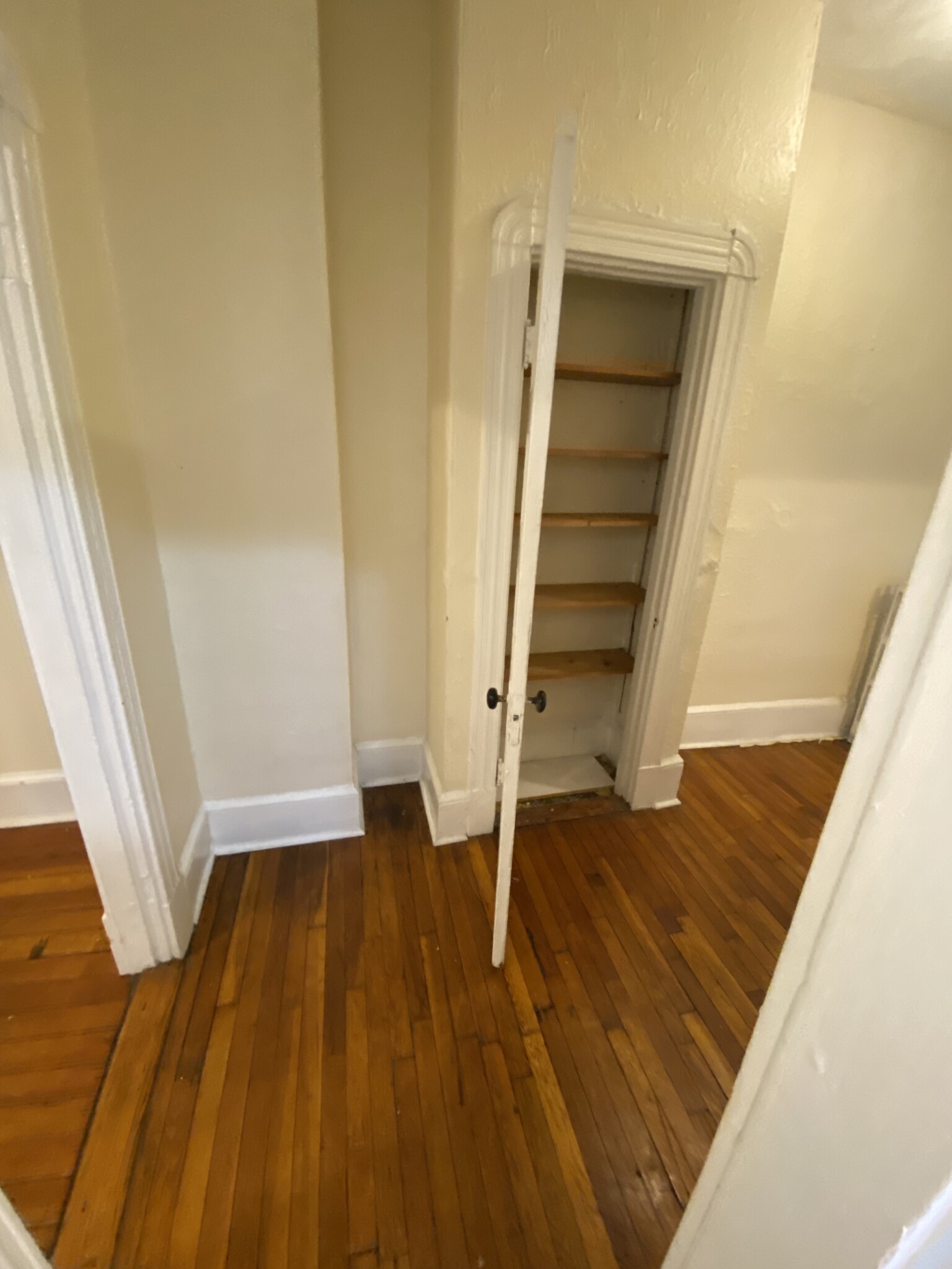 36 Anderson St, Beacon Hill