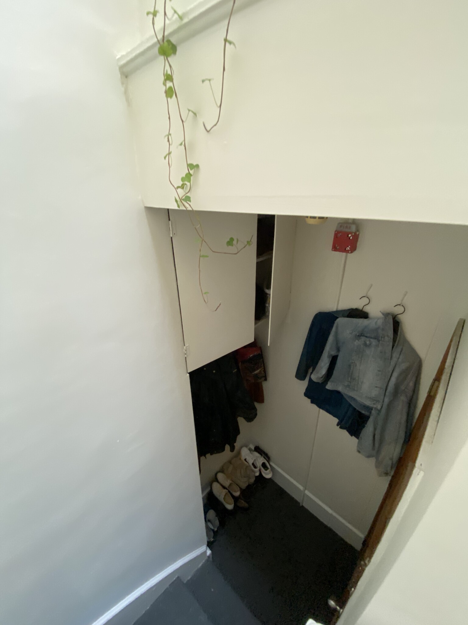 32 Irving St, Beacon Hill