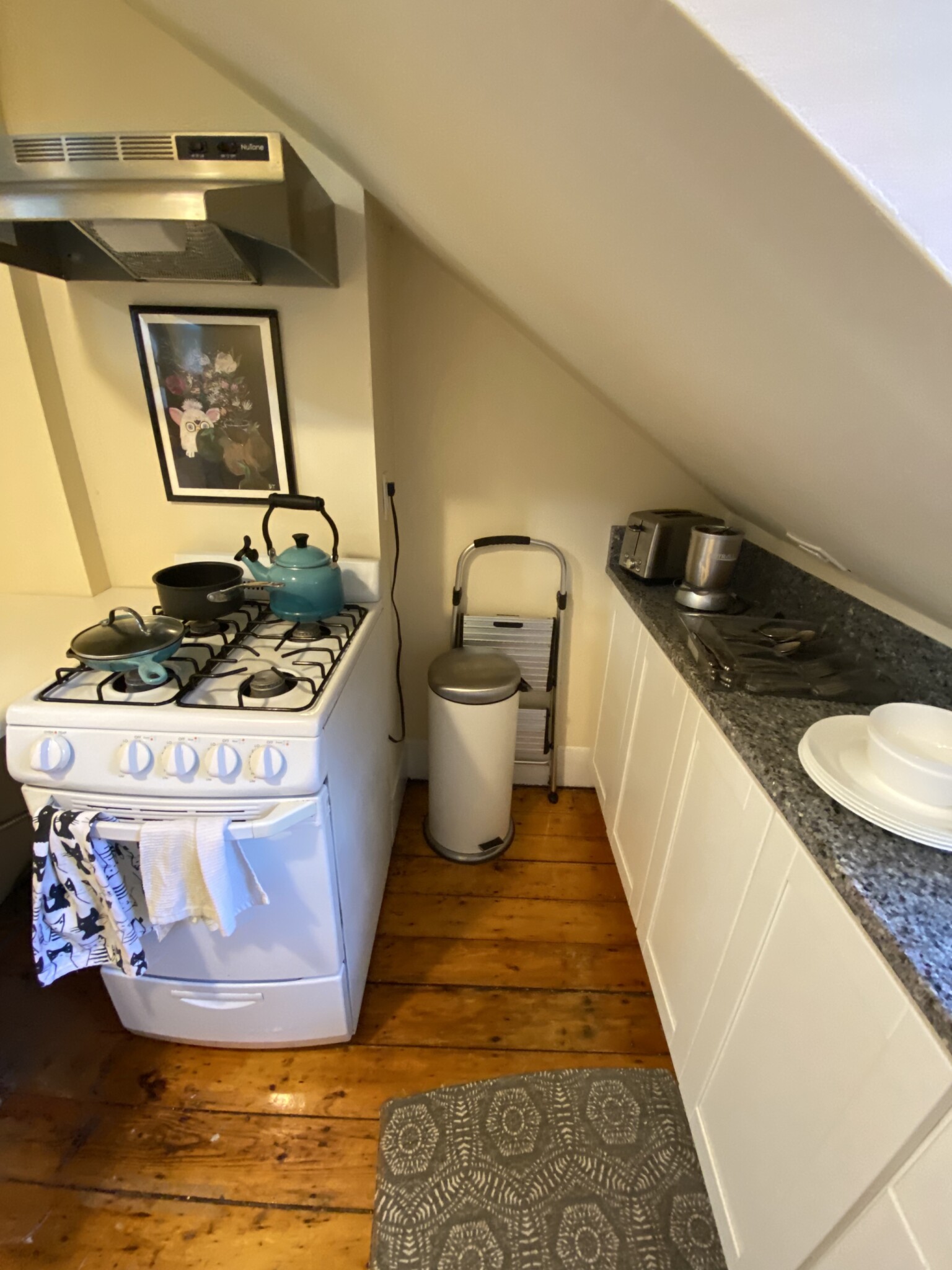 32 Irving St, Beacon Hill