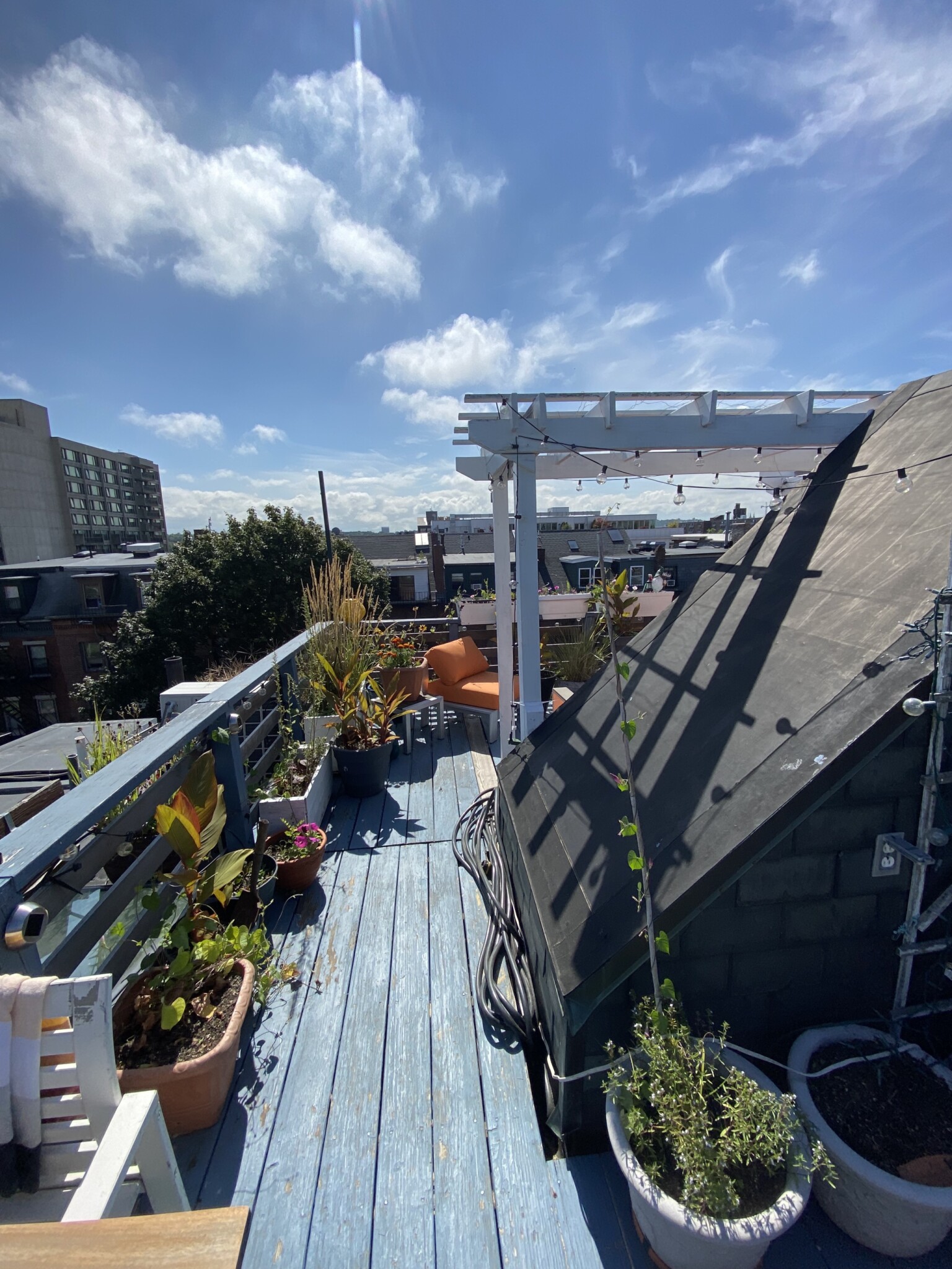 53 Springfield St, South End