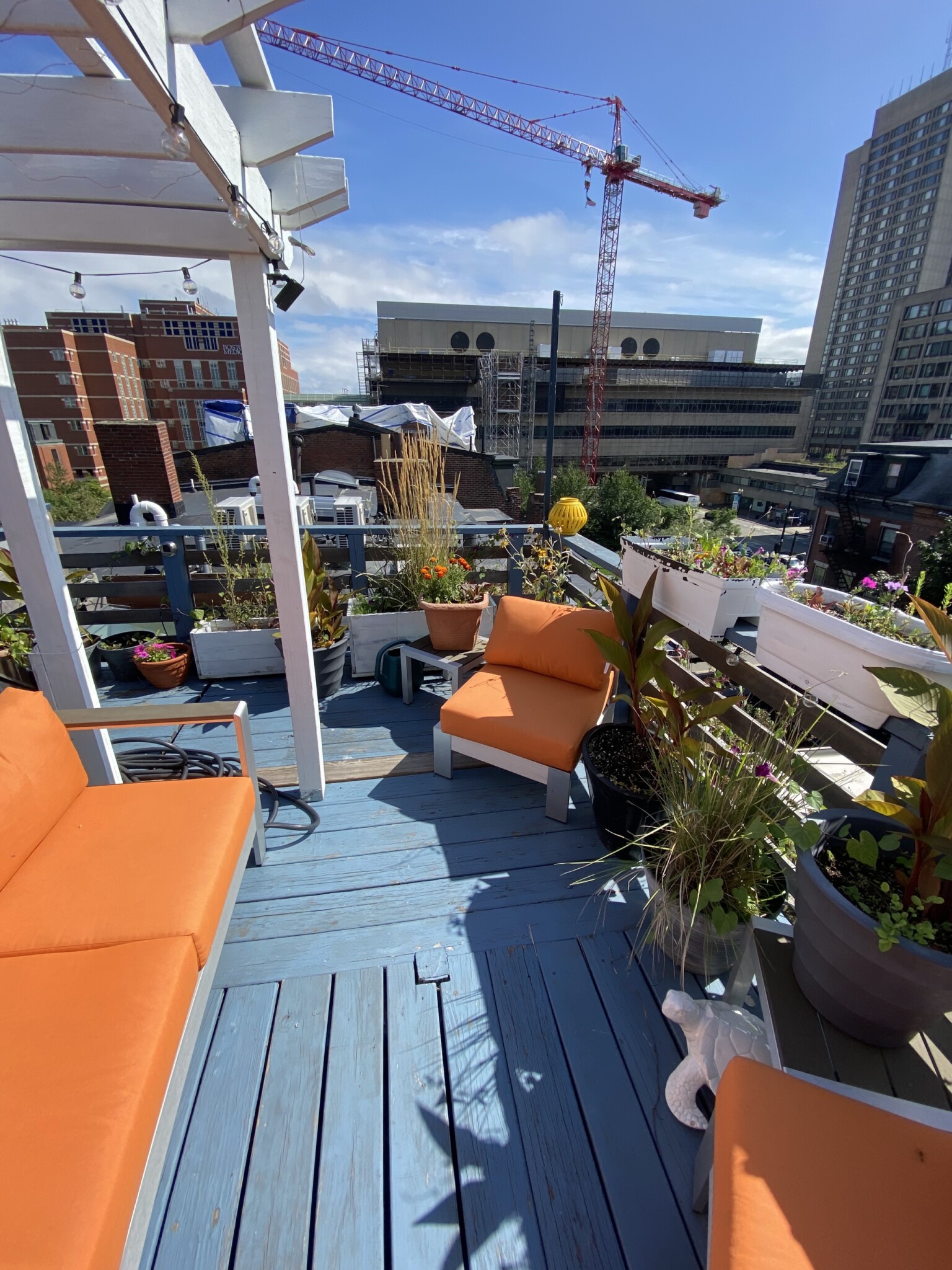 53 Springfield St, South End