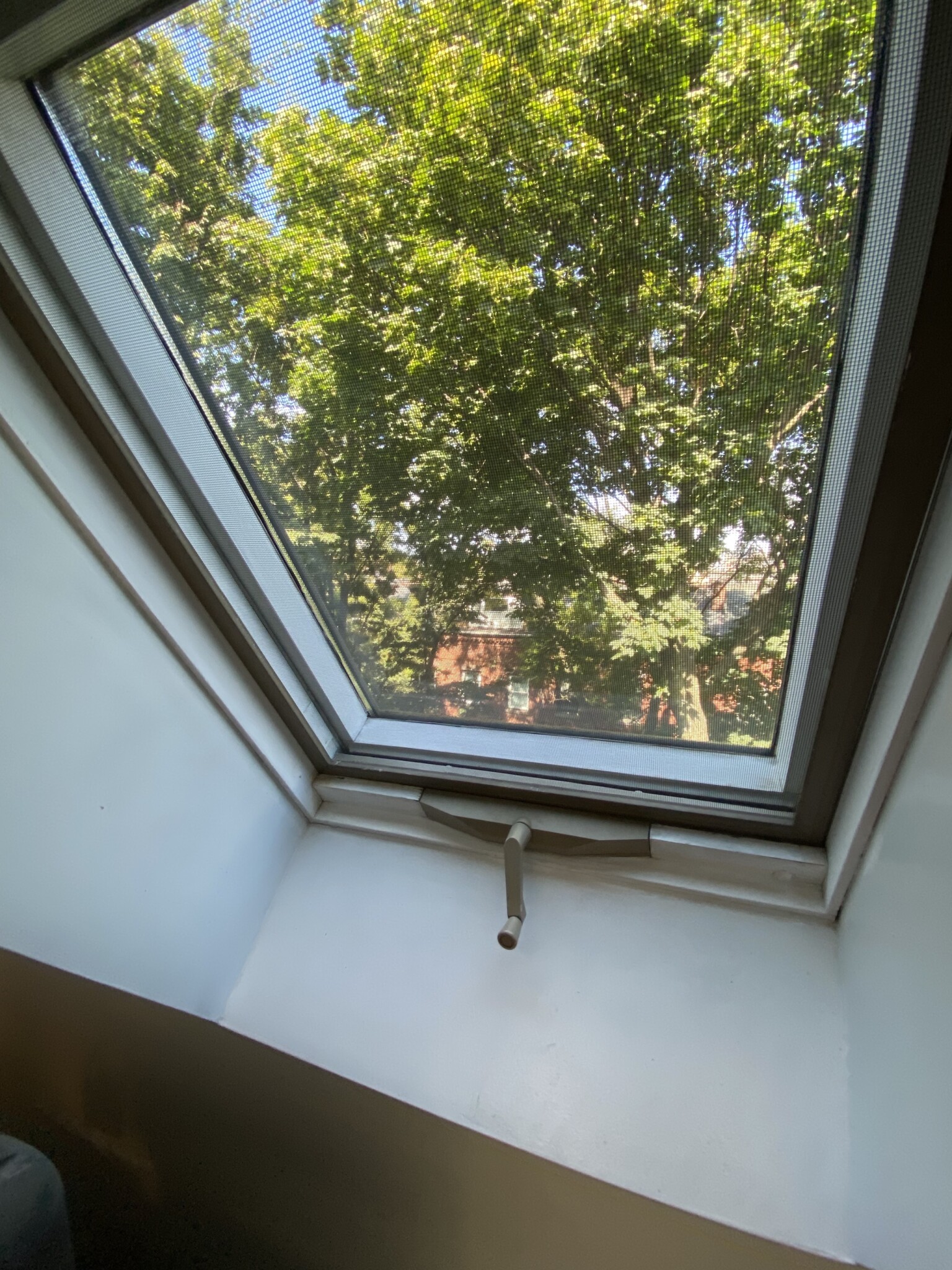 53 Springfield St, South End