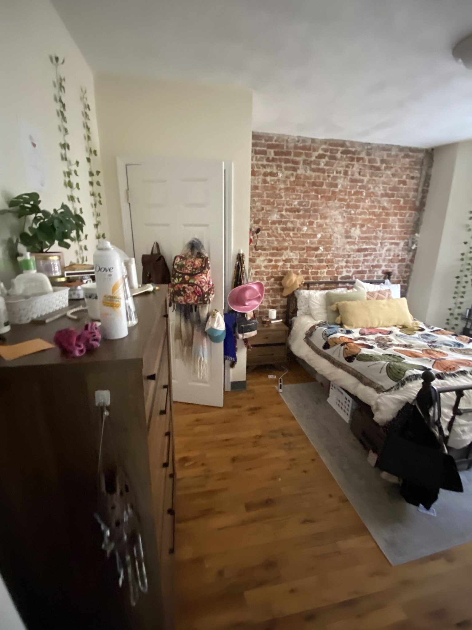 838 Huntington Ave, Mission Hill