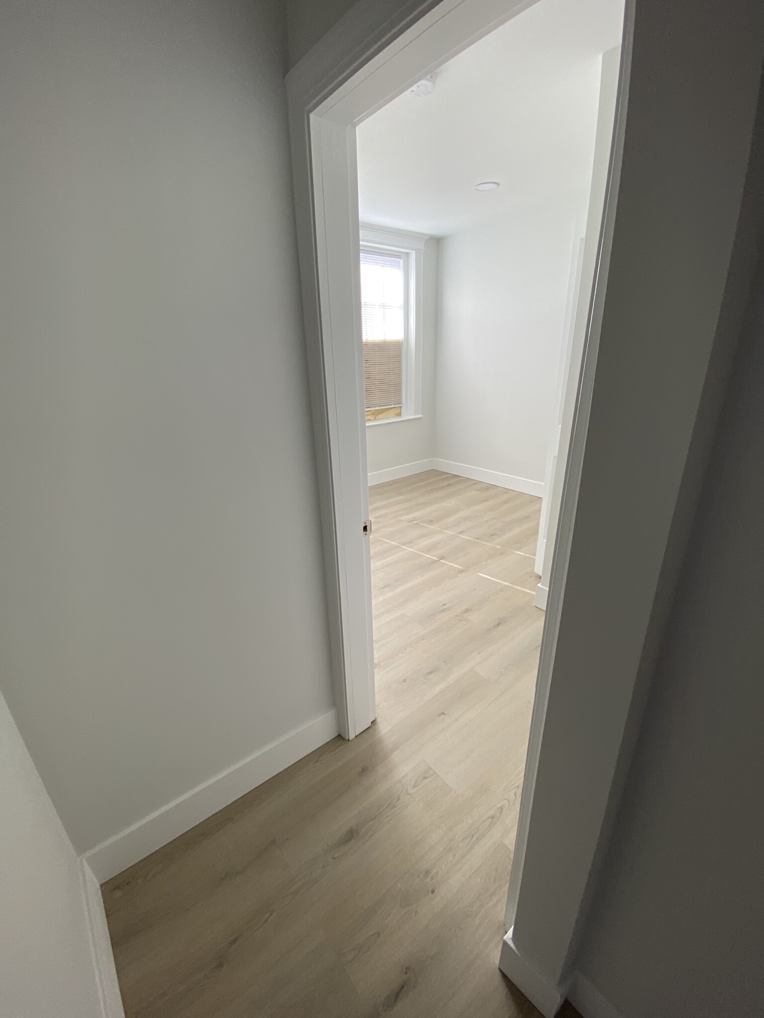 9 Myrtle St, Beacon Hill