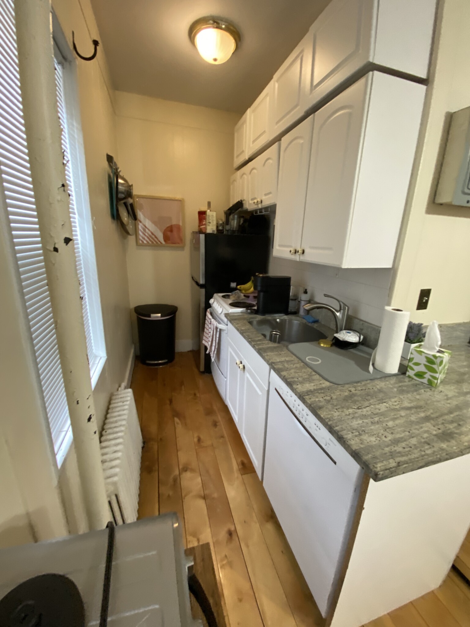 108 Myrtle St, Beacon Hill