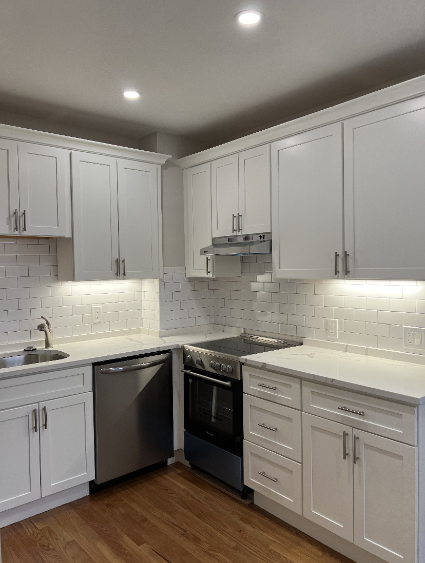 13 Anderson St, Beacon Hill