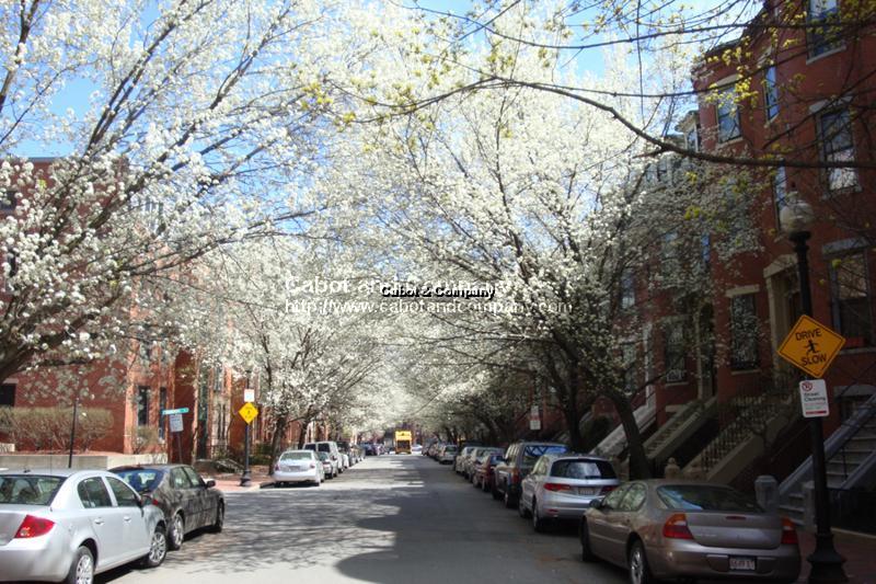 24 Yarmouth St, South End