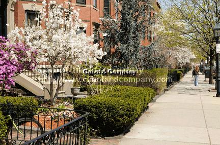 354 Marlborough St, Back Bay