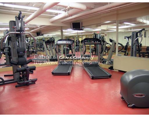 1600 Beacon St, Washington Square