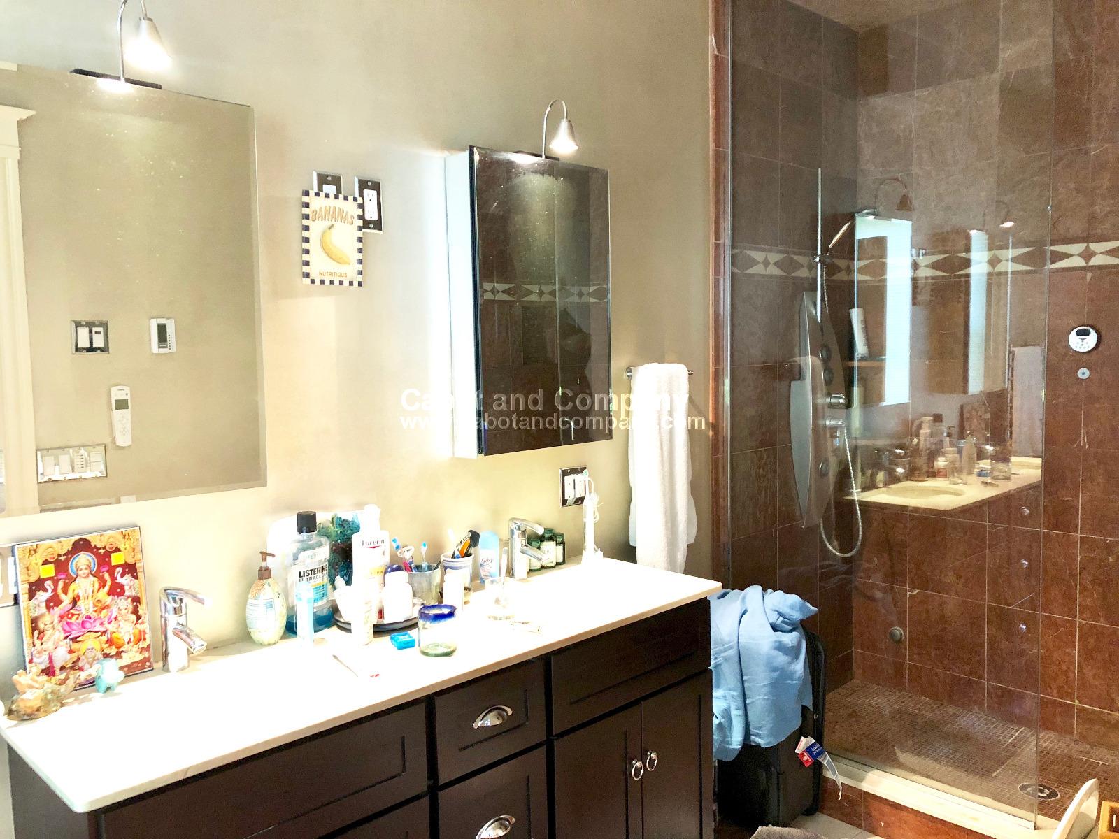 1 Clinton Path, Brookline Village