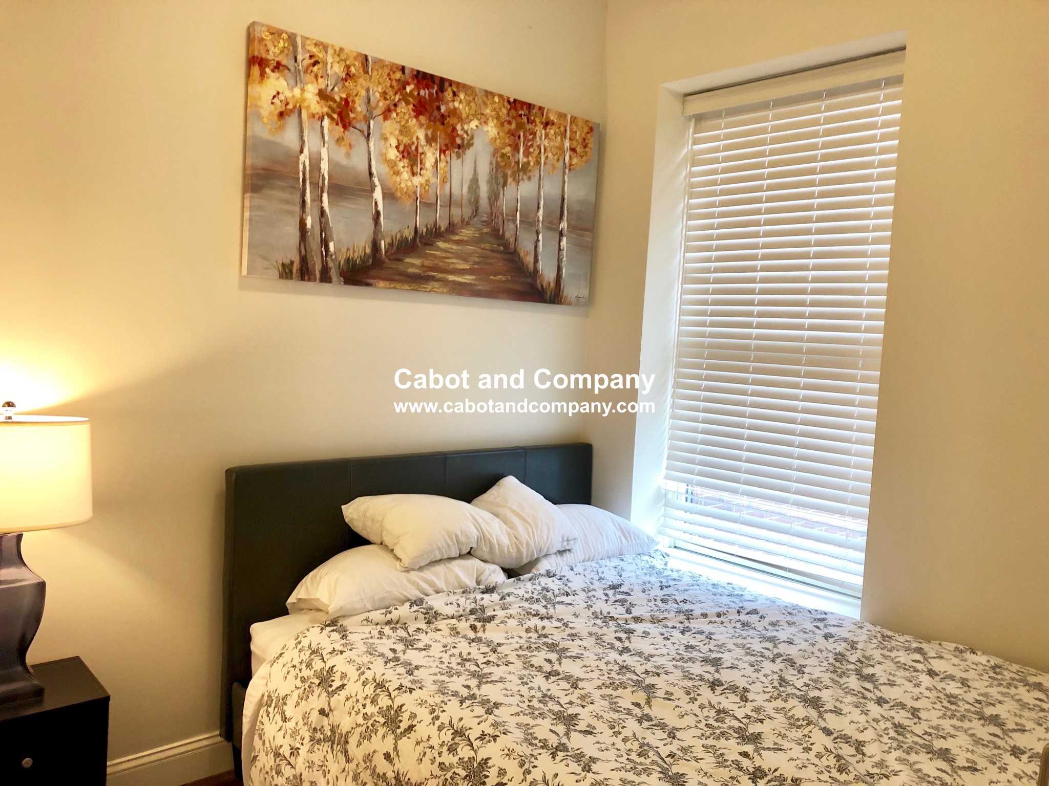 19 Cumberland St, Back Bay