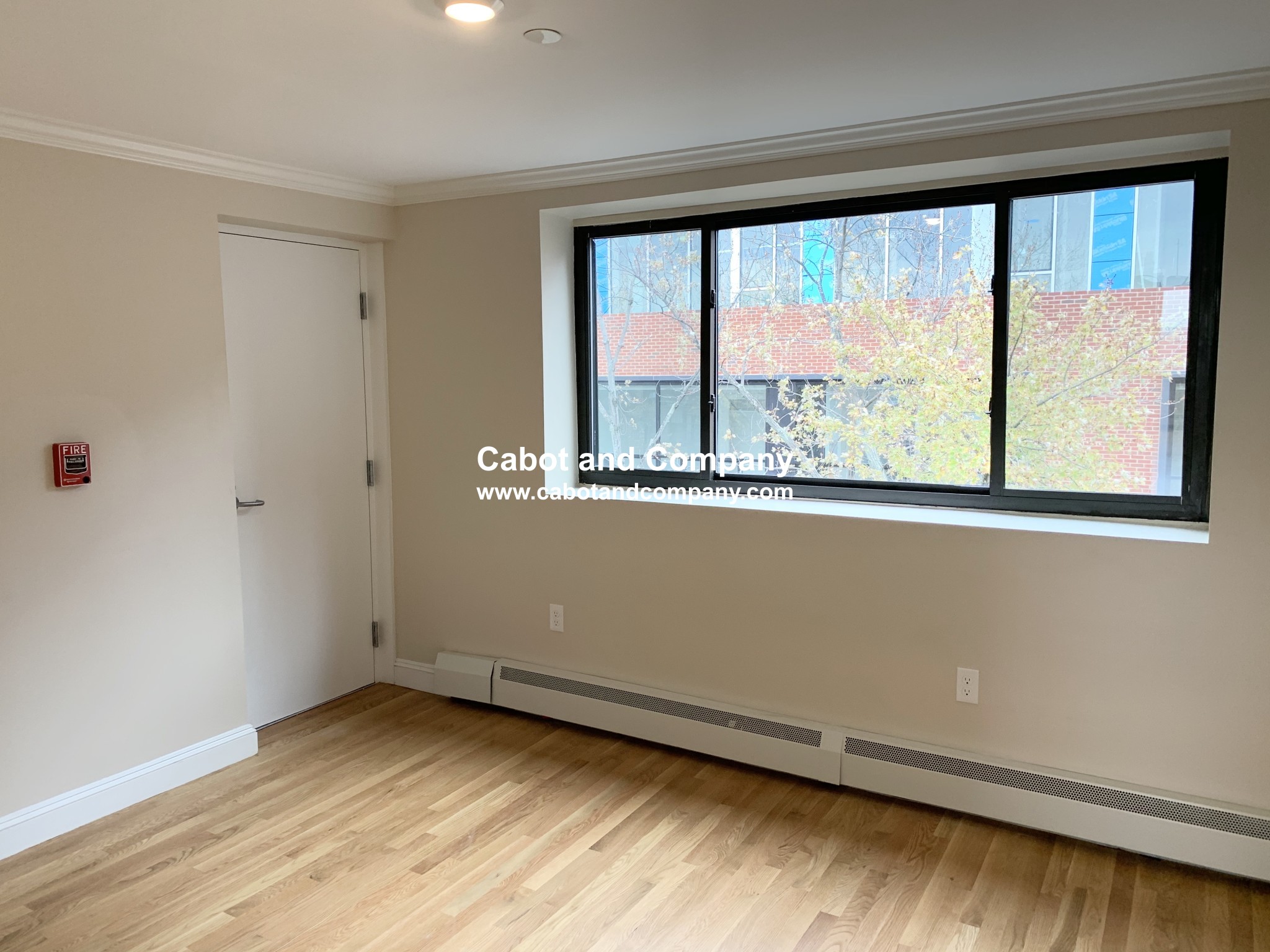 34 Hancock St, Beacon Hill