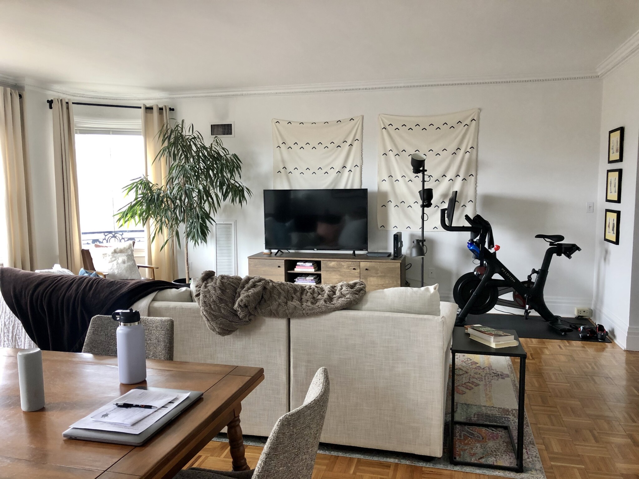 390 Commonwealth Ave, Back Bay