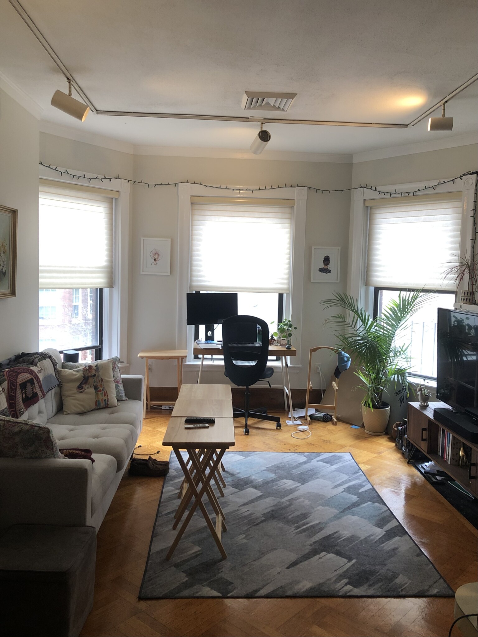 33 Bay State Rd, Back Bay