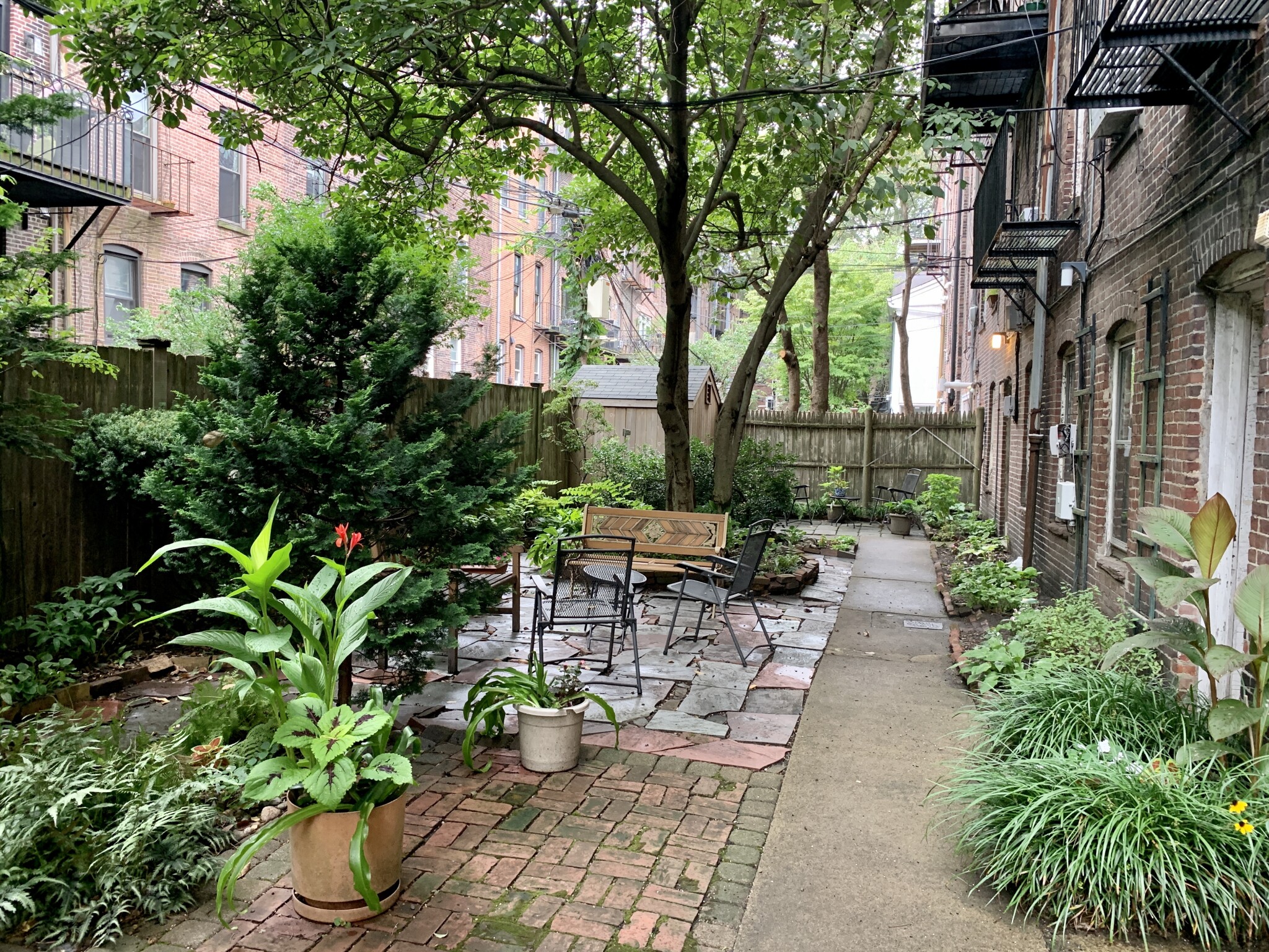 37 Lawrence St, South End